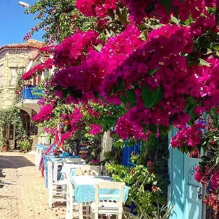 Отель Alacati Frida *