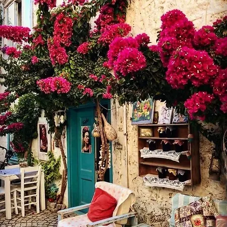 Отель Alacati Frida *
