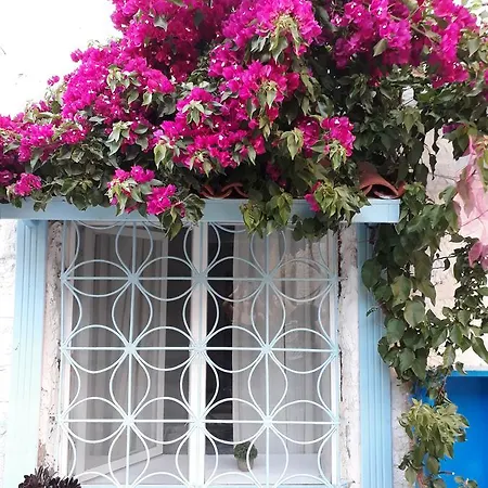 Отель Alacati Frida