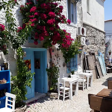 Alacati Frida
